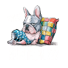 French Bulldog: How? Stand up???