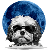 Lunar Pup Shades