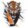 Hissing tiger