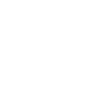 1977 Limited Edition