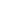 1979 limited edition