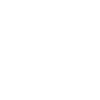 1982 limited edition