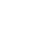 1981 Limitierte Auflage