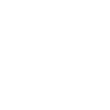 1985 Limitierte Auflage