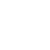 Lion "STRONG"
