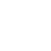 Lion "WORSHIP"