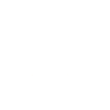 Lion "HOLY"