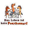 ponykonzert