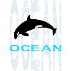Baleine - Océan