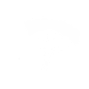 Cardiogram Paraglider White