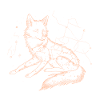 Fox Starry Sky Constellation