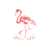 Strut Like a Flamingo