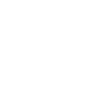 Chat persan