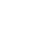 Chat persan