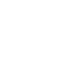 Australian Terrier