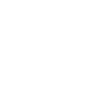 Collie Longhair Collie