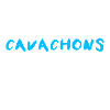 Cavachon
