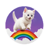 White Kitten Rainbow 2