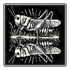 Reflection of nature – grasshopper in symmetry