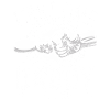 First time dad since 2025