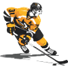 hockey player
