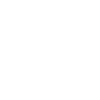 Two wheels no rules