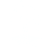 Lunar Pioneer 2025