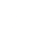 Brain AI
