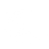 Pionnier lunaire 2025