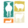 Schäfer Schaf