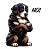 No Bernese Mountain Dog Mountain Dogs Mountain Dogs Owners