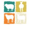 Shepherd Sheep