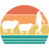 Shepherd Sheep
