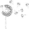 Pusteblume