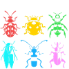 Insect
