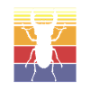 Insect