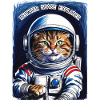 Cat Astronaut Universe Gift