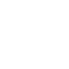 1993 Limited Edition