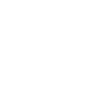 1988 limited edition