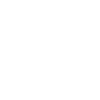1994 limited edition