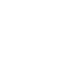 1995 limited edition