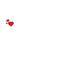 The Bride