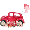 Braut Team Auto Blumen Braut