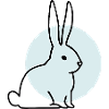 Cute Bunny – Hand Drawn Sketch