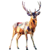Cerf géométrique – Conception polygonale moderne