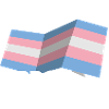 PROUD 2025 Trans