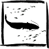 Wels Catfish