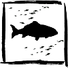 Karpfen
