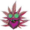 Crazypurple