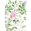 Aquarelle Pink Blossom Botanicals